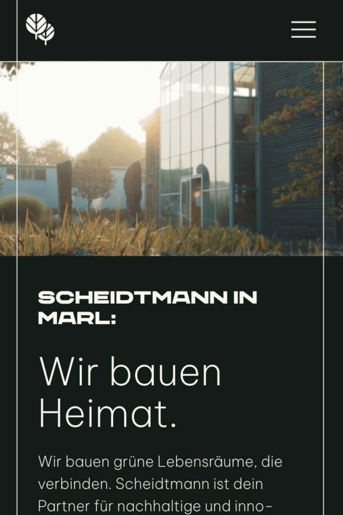 Casebox Vorschau Responsive Format 2_3-1-buy-my-site-Website-Referenz-Projekt