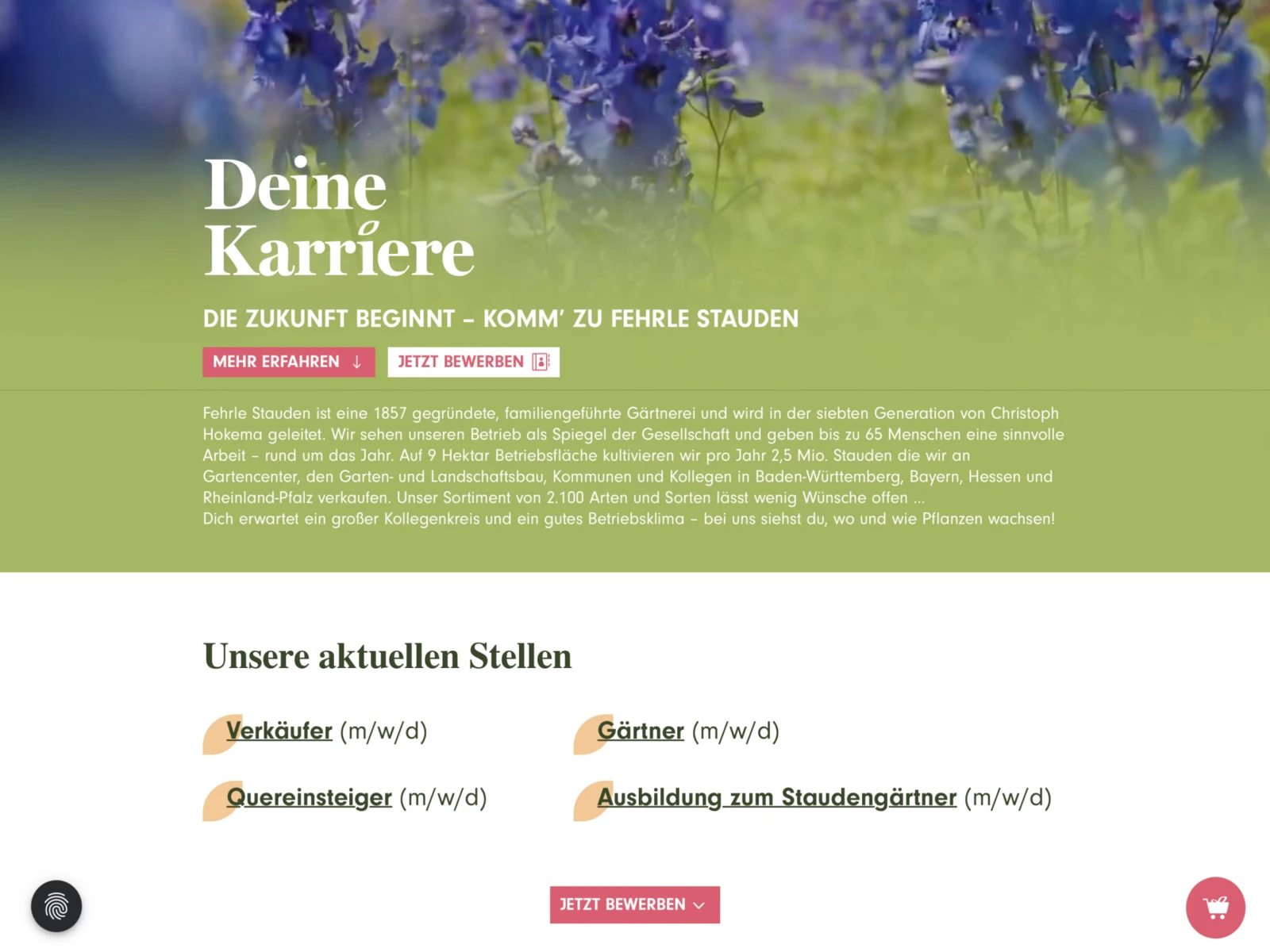 fehrle-stauden-buy-my-site-Website-Referenz-Projekt-Casebox_Vorschau_Desktop_Format_4_3-0020