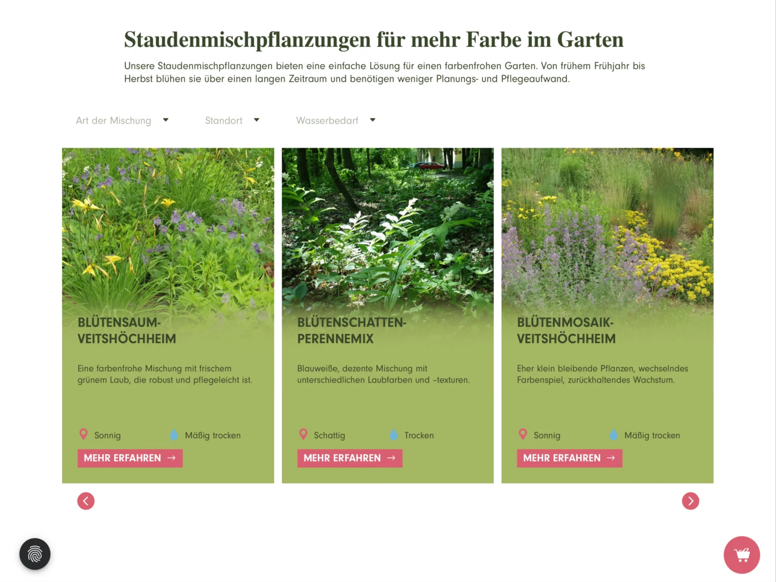 fehrle-stauden-buy-my-site-Website-Referenz-Projekt-Casebox_Vorschau_Desktop_Format_4_3-1-0017