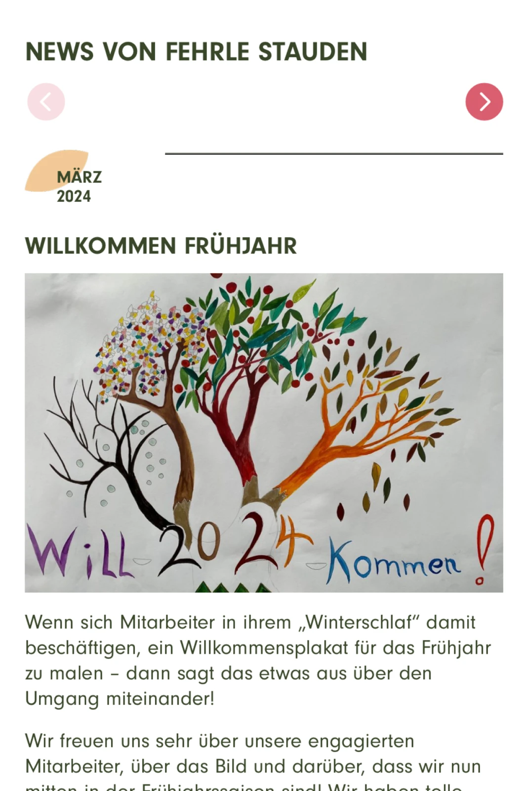 fehrle-stauden-buy-my-site-Website-Referenz-Projekt-Casebox_Vorschau_Responsive_Format__2_3-2-0016