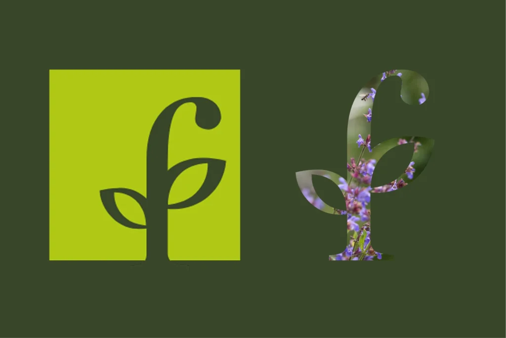 fehrle-stauden-buy-my-site-Website-Referenz-Projekt-fehrle-stauden-mood-logo-webseite-0022